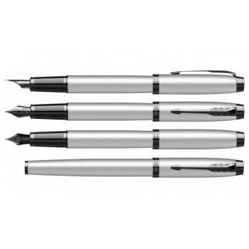 Ручка перьевая Parker IM Achromatic F317, Matt Grey BT (Перо F)