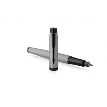 Ручка перьевая Parker IM Achromatic F317, Matt Grey BT (Перо F)