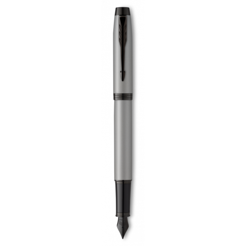 Ручка перьевая Parker IM Achromatic F317, Matt Grey BT (Перо F)