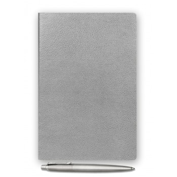 Подарочный набор: Шариковая ручка Parker Jotter Essential, St. Steel СT и Ежедневник недатированный серебристый