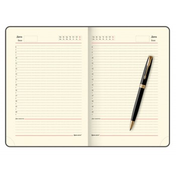 Подарочный набор Parker: шариковая ручка Parker Sonnet GT и ежедневник чёрного цвета с имитацией под кожу рептилии